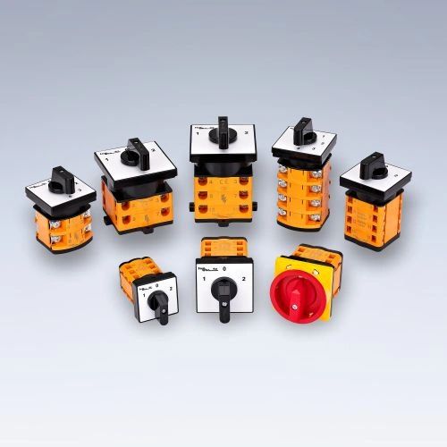 Cam Switches
